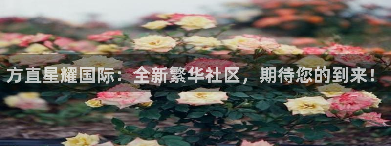 辉达娱乐电子娱乐官网下载：方直星耀国际：全新繁华社区，期待您的到来！