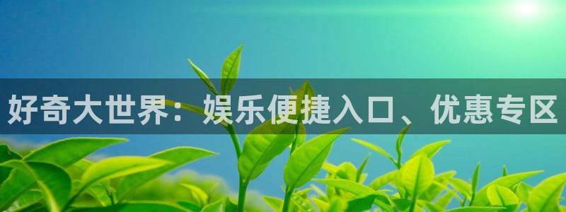 辉达娱乐注册平台：好奇大世界：娱乐便捷入口、优惠专区