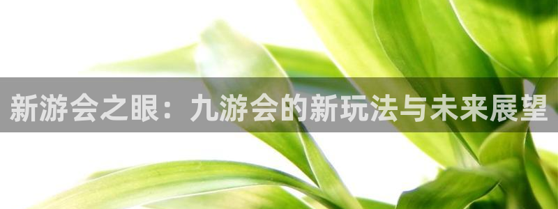 壹号app下载链接：新游会之眼：九游会的新玩法与未来展望