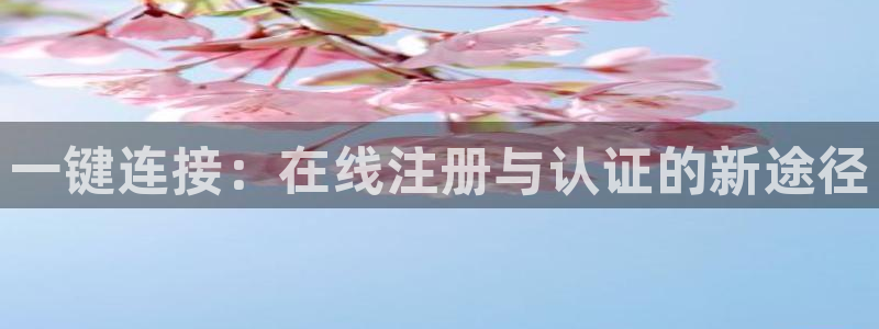 辉达娱乐.ccmpc登录：一键连接：在线注册与认证的新途径