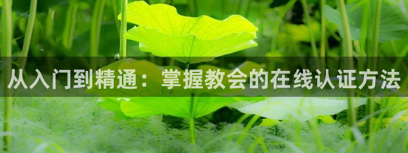 辉达app官网：从入门到精通：掌握教会的在线认证方法