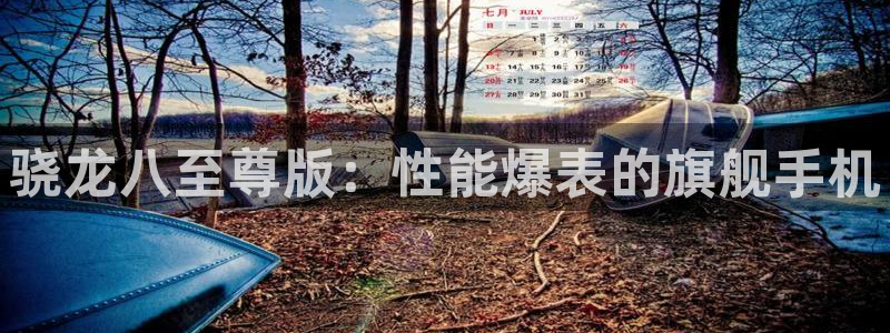 辉达娱乐怎么下载：骁龙八至尊版：性能爆表的旗舰手机