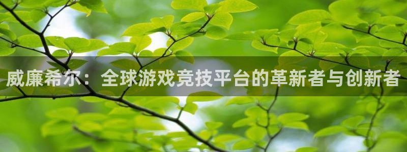 辉达娱乐放水时间：威廉希尔：全球游戏竞技平台的革新者与创新者