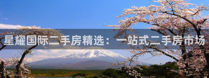 辉达娱乐平台官网登录入口：星耀国际二手房精选：一站式二手房市场