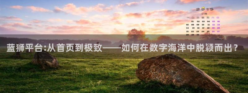 辉达娱乐游戏官网平台入口：蓝狮平台:从首页到极致——如何在数字海洋中脱颖而出？