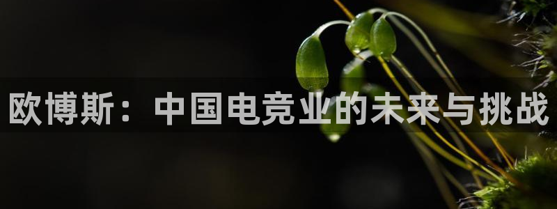 辉达娱乐app官网：欧博斯：中国电竞业的未来与挑战