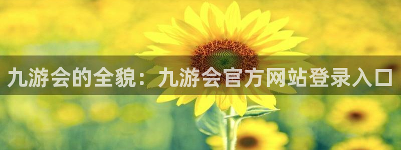 辉达娱乐注册网站app