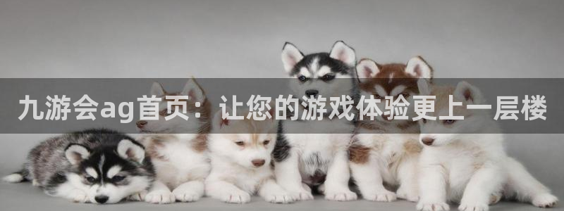 辉达娱乐科技赋能,让平台更有趣：九游会ag首页：让您的游戏体验更上一层楼