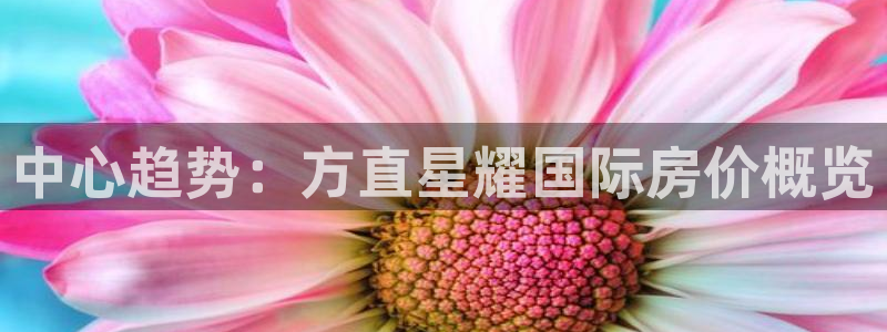 壹号大舞台28国际大舞台：中心趋势：方直星耀国际房价概览
