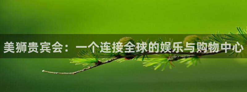 辉达账号注册：美狮贵宾会：一个连接全球的娱乐与购物中心