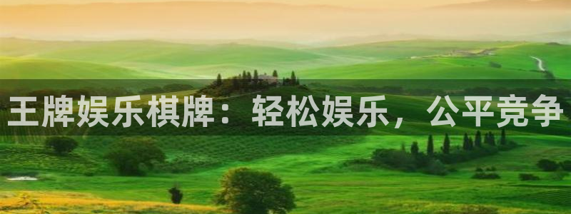辉达娱乐平台官方入口：王牌娱乐棋牌：轻松娱乐，公平竞争