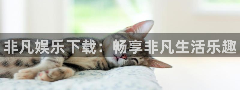 辉达娱乐app 是什么