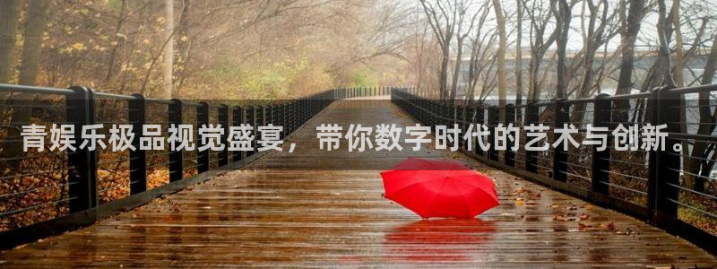 辉达开户地址