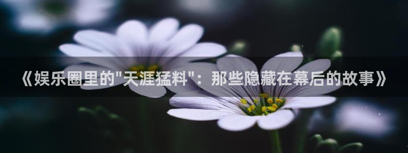 辉达娱乐,com