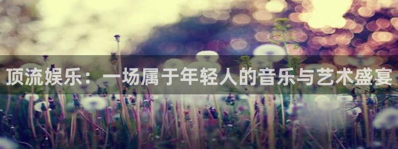 辉达娱乐官网版下载