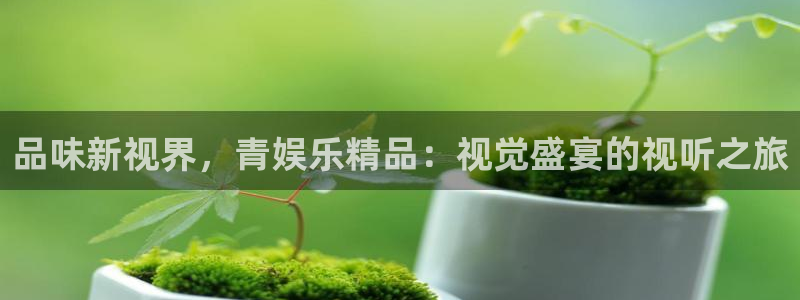 辉达注册