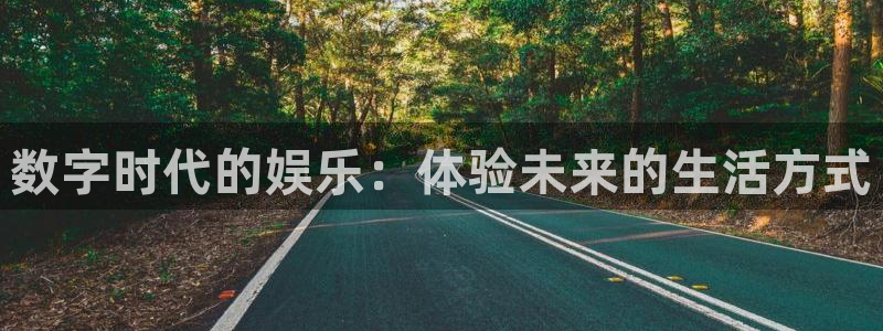 辉达娱乐,apk