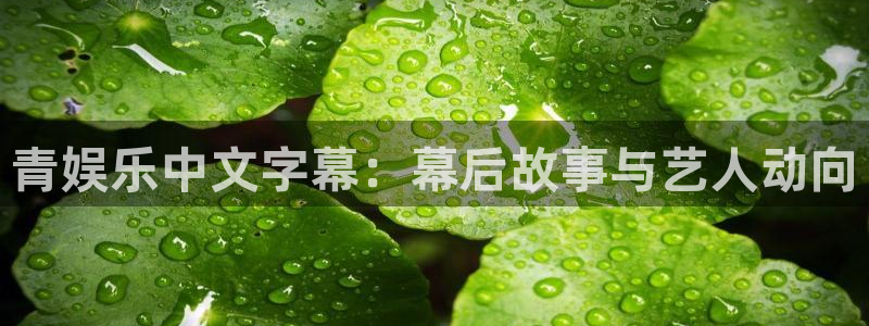 辉达娱乐pg