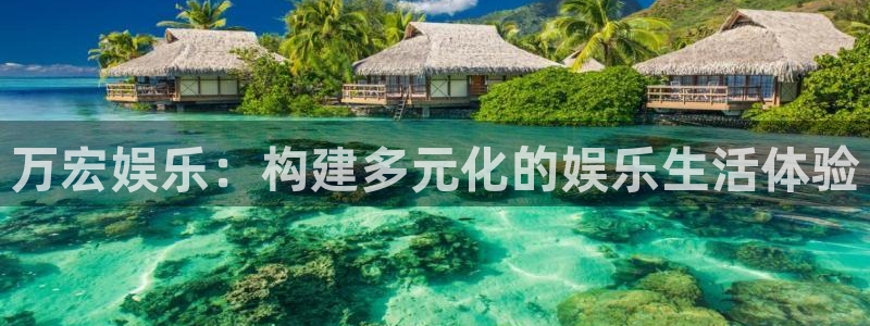 辉达娱乐平台app下载