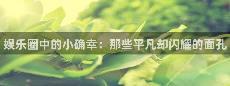 壹号电子娱乐app下载官网