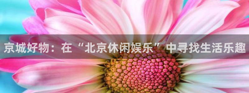 苹果版辉达娱乐下载安装