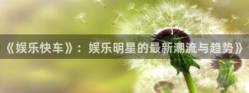 辉达娱乐注册网站链接