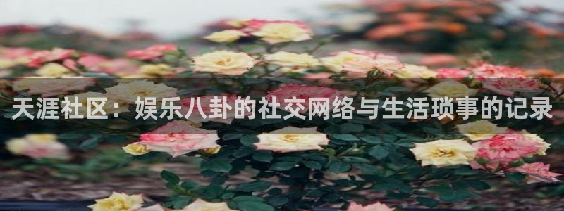 辉达娱乐网站平台登录