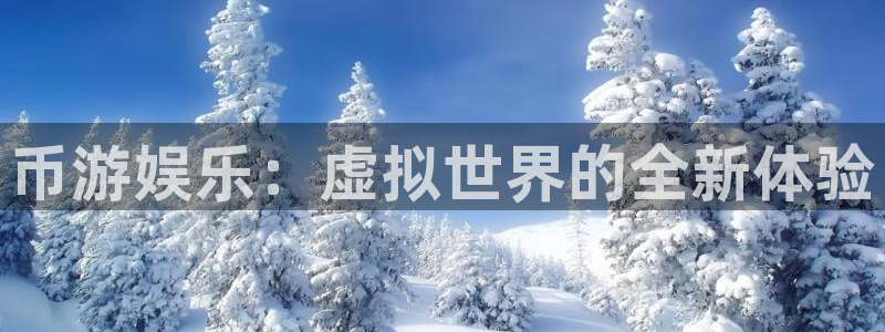 辉达代理