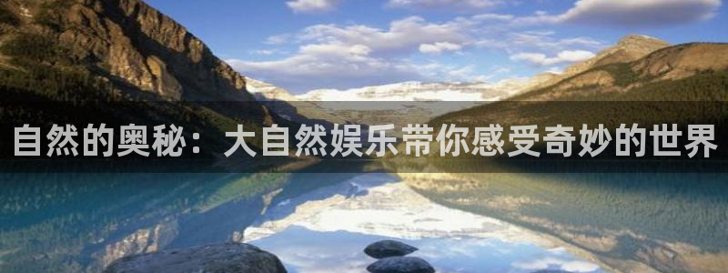 辉达娱乐手机客户端下载安装