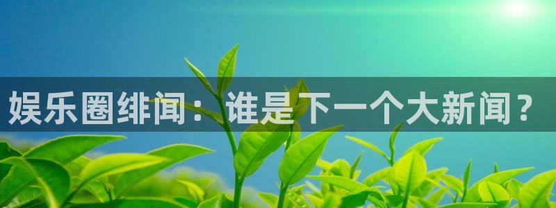 辉达娱乐平台官方入口