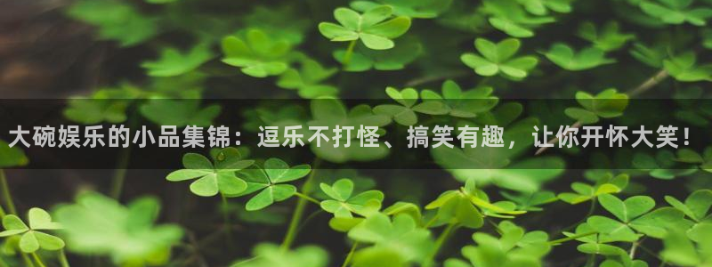 辉达娱乐平台官网登录入口