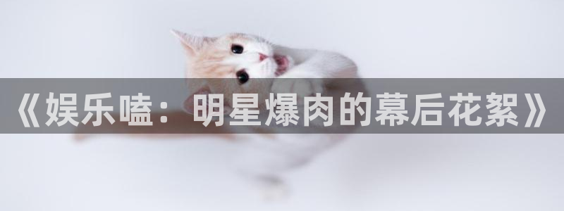 辉达娱乐ccmpc麻将胡了