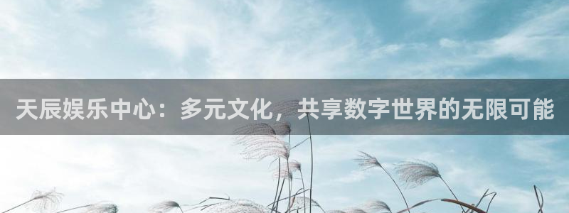 辉达娱乐登录：天辰娱乐中心：多元文化，共享数字世界的无限可能