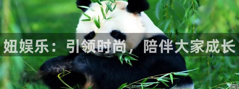 辉达娱乐ccmpc麻将胡了：妞娱乐：引领时尚，陪伴大家成长
