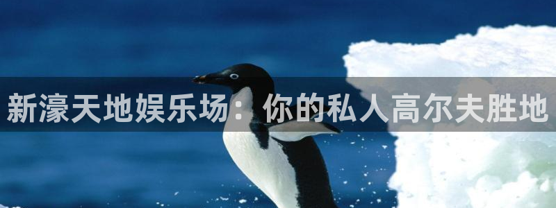 辉达娱乐电子游戏：新濠天地娱乐场：你的私人高尔夫胜地