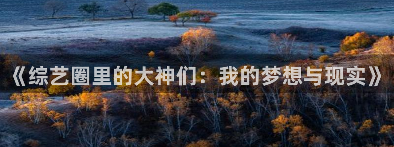 辉达登录注册入口：《综艺圈里的大神们：我的梦想与现实》
