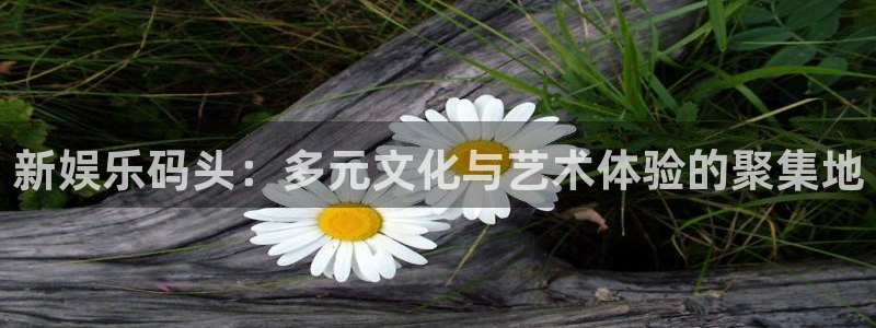 辉达娱乐.ccm官网版：新娱乐码头：多元文化与艺术体验的聚集地