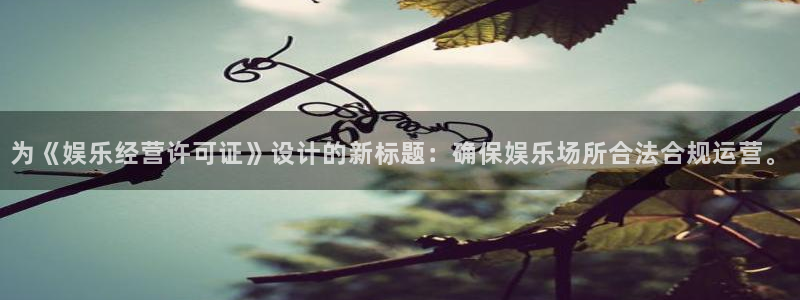 辉达娱乐平台官方入口下载：为《娱乐经营许可证》设计的新标题：确保娱乐场所合法合规运营。