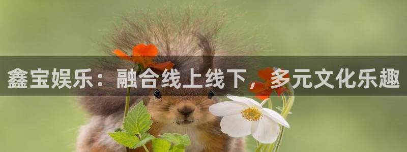 辉达娱乐平台注册：鑫宝娱乐：融合线上线下，多元文化乐趣