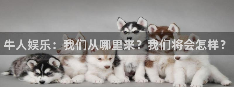 壹号平台app下载安装：牛人娱乐：我们从哪里来？我们将会怎样？