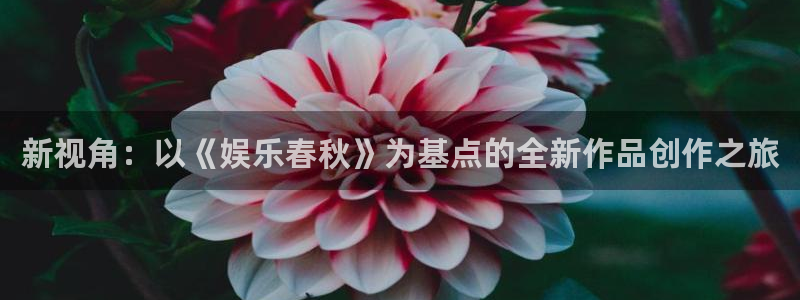 壹号app下载苹果：新视角：以《娱乐春秋》为基点的全新作品创作之旅