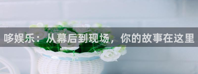 辉达娱乐网站登录流程：哆娱乐：从幕后到现场，你的故事在这里
