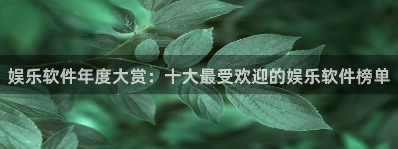 辉达娱乐 - ng大舞台,有梦你就来：娱乐软件年度大赏：十大最受欢迎的娱乐软件榜单