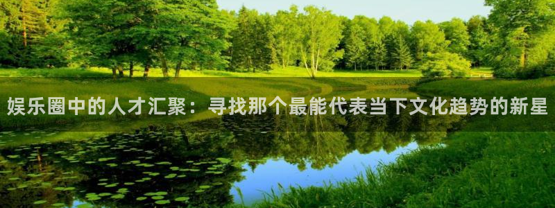 辉达娱乐是什么：娱乐圈中的人才汇聚：寻找那个最能代表当下文化趋势的新星