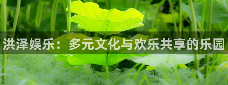 辉达地址：洪泽娱乐：多元文化与欢乐共享的乐园