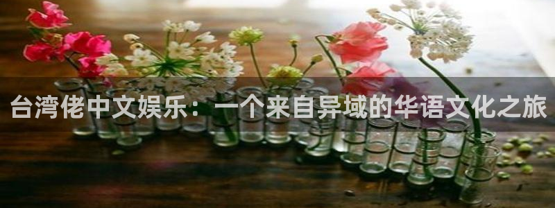辉达娱乐预测pc在线预测网址：台湾佬中文娱乐：一个来自异域的华语文化之旅
