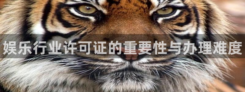 辉达娱乐下载二维码：娱乐行业许可证的重要性与办理难度