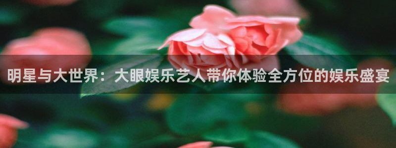 辉达平台登录：明星与大世界：大眼娱乐艺人带你体验全方位的娱乐盛宴