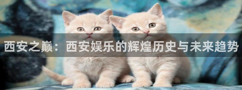 壹号大舞台官网入口：西安之巅：西安娱乐的辉煌历史与未来趋势