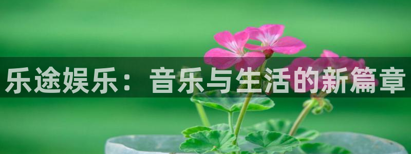 辉达娱乐官方网站下载：乐途娱乐：音乐与生活的新篇章